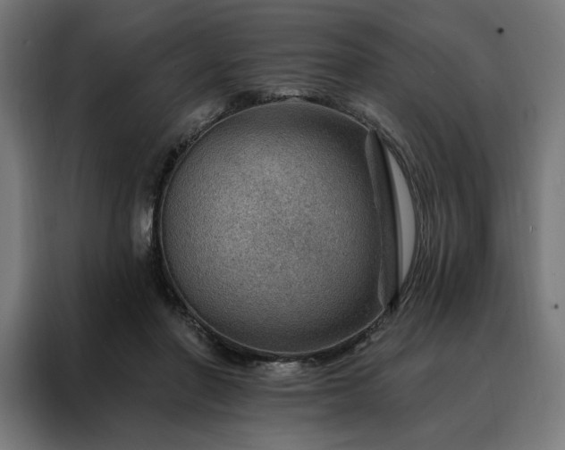 X0000088160406200705221605
