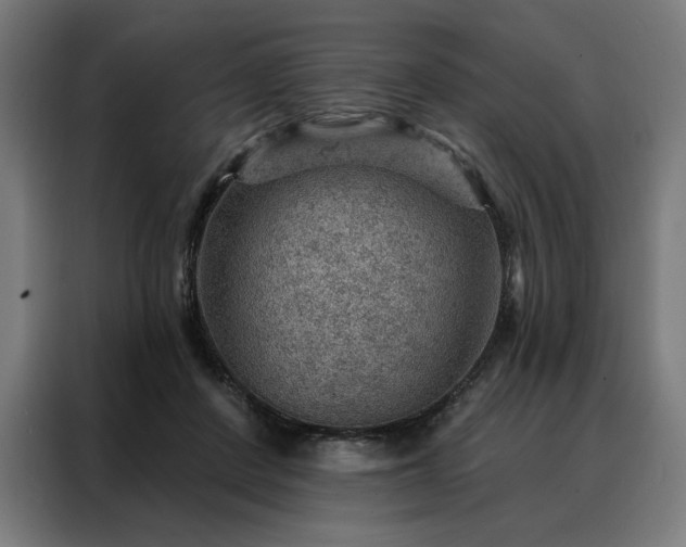X0000088160408200705221605