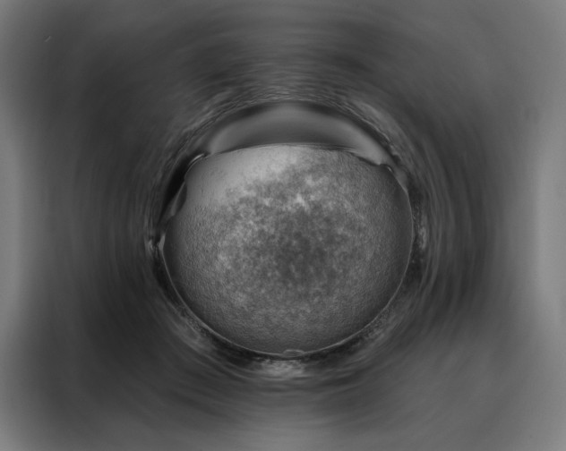 X0000088160409200705221605