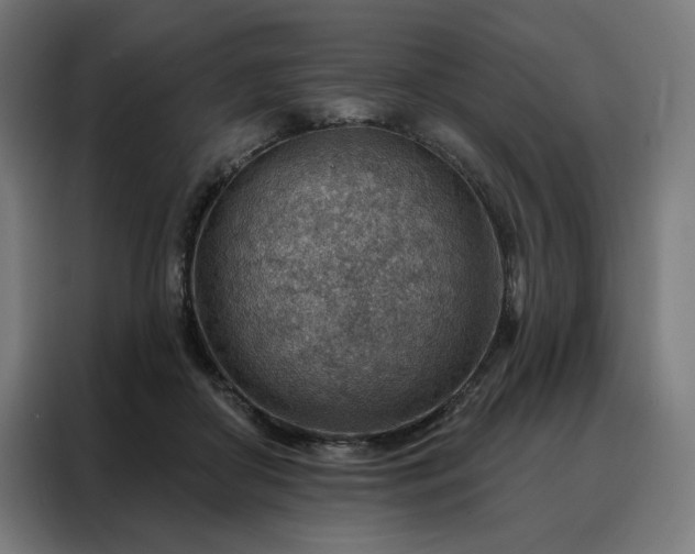 X0000088160410200705221605