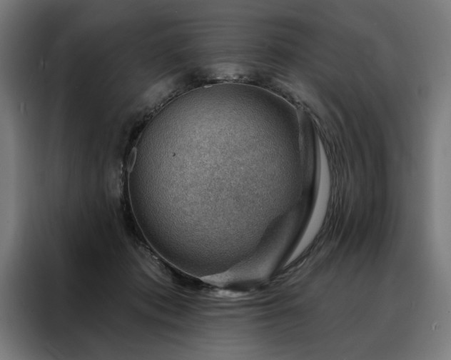X0000088160413200705221605