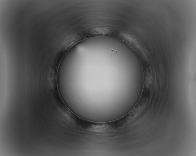 X0000088160414200705221605