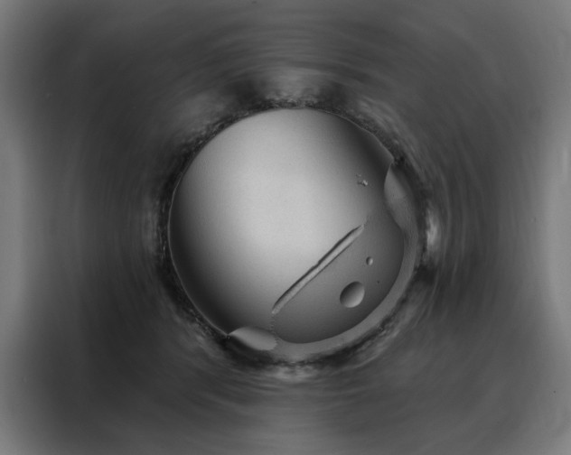 X0000088160416200705221605