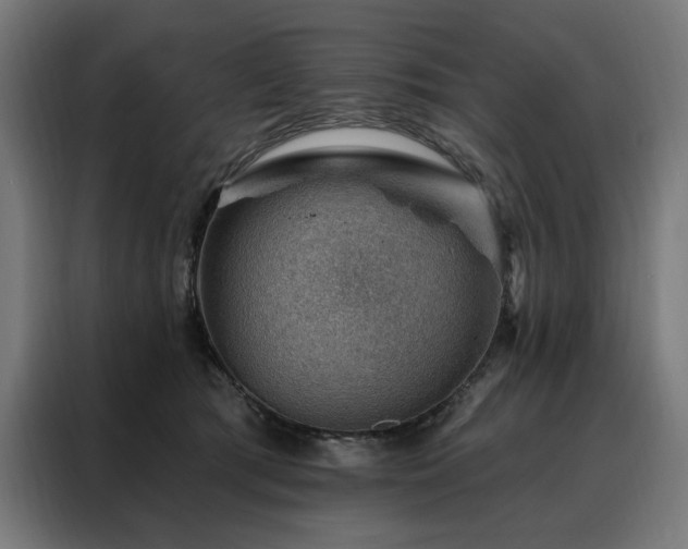 X0000088160417200705221605