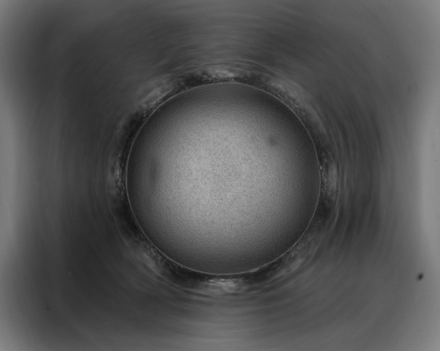 X0000088160418200705221605