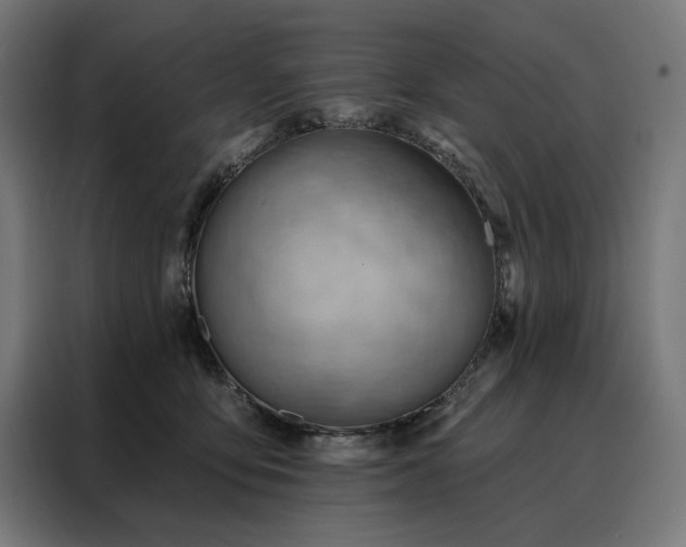 X0000088160419200705221605