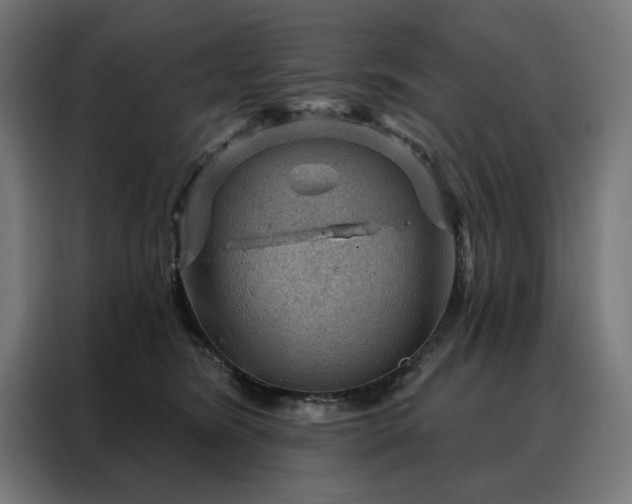 X0000088160420200705221605