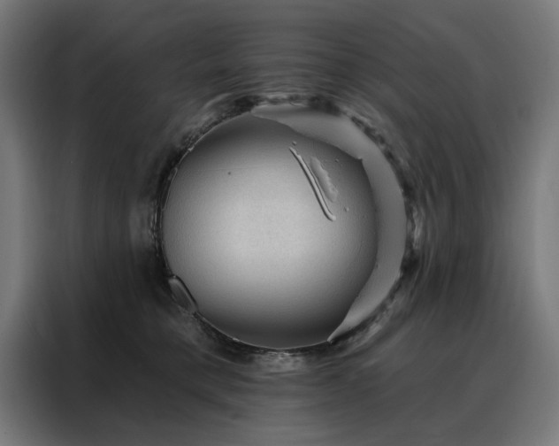 X0000088160421200705221605