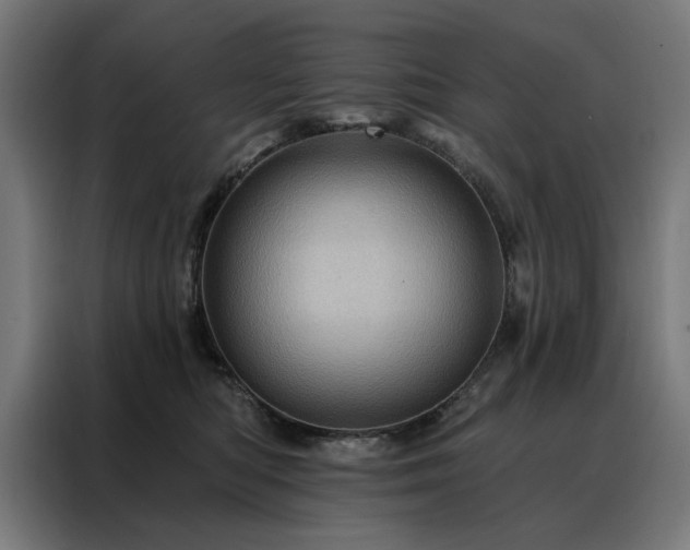 X0000088160422200705221605