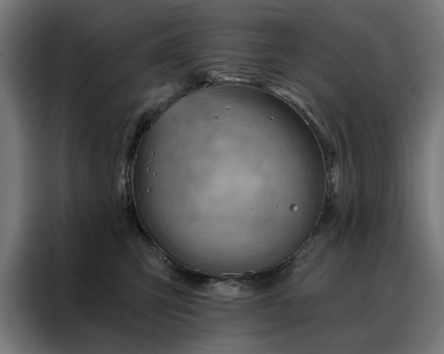 X0000088160423200705221605