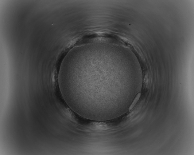 X0000088160424200705221605