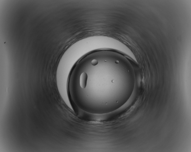 X0000088160425200705221605