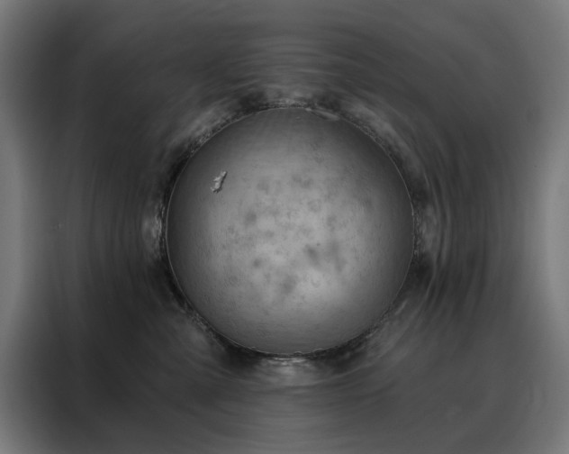 X0000088160427200705221605