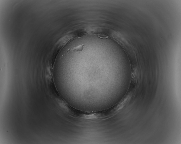 X0000088160430200705221604