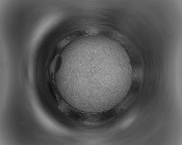 X0000088160431200705221604