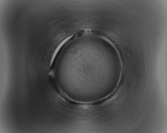 X0000088160432200705221604
