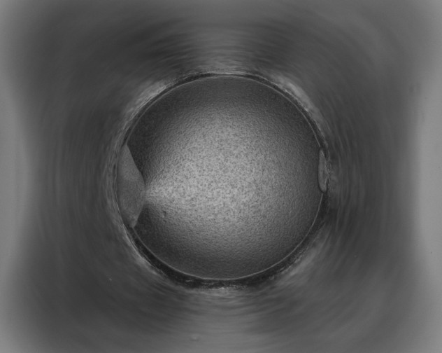 X0000088160433200705221604