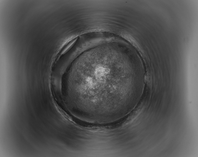 X0000088160434200705221604