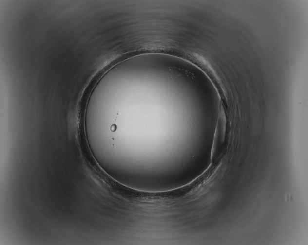 X0000088160435200705221604