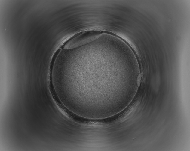 X0000088160437200705221604