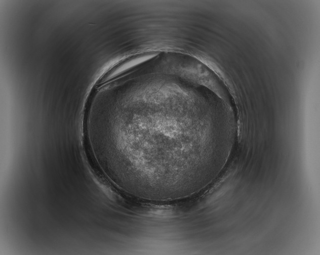 X0000088160438200705221604
