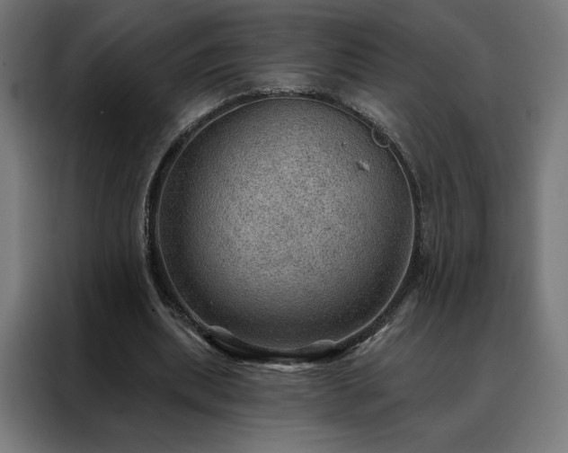 X0000088160439200705221604