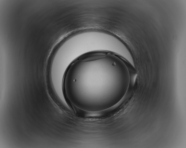 X0000088160440200705221604