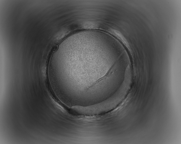 X0000088160441200705221604