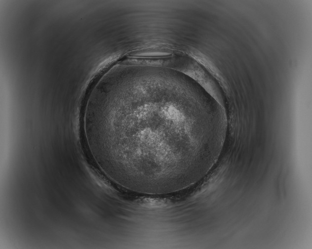 X0000088160442200705221604