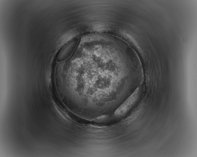 X0000088160443200705221604