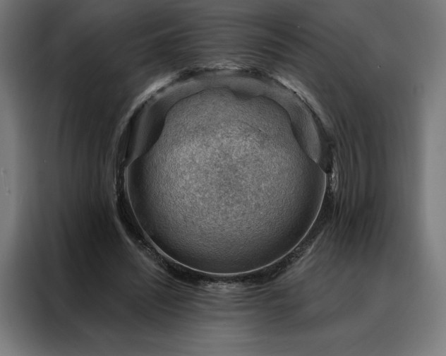 X0000088160444200705221604