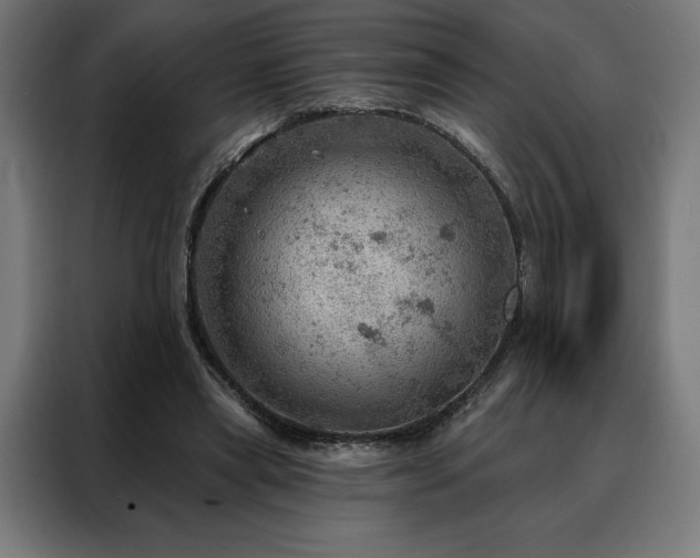 X0000088160445200705221604