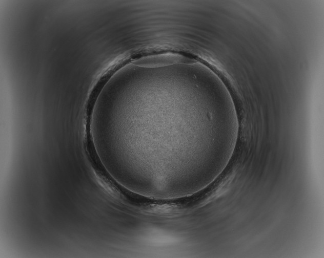 X0000088160446200705221604