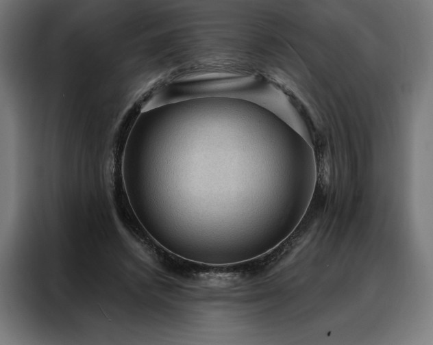 X0000088160448200705221604
