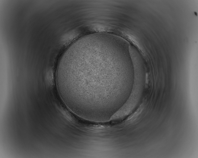 X0000088160453200705221604