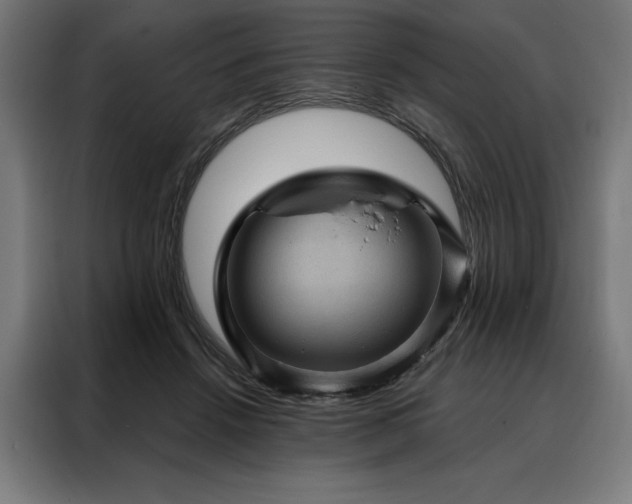X0000088160456200705221604