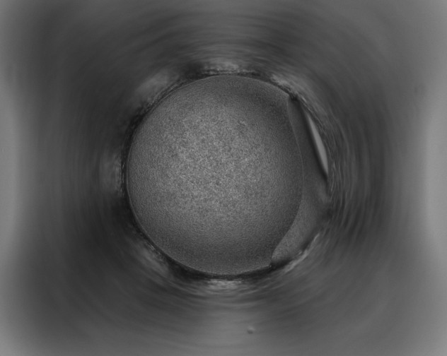 X0000088160457200705221604