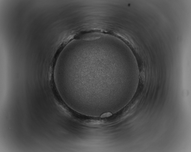 X0000088160458200705221604