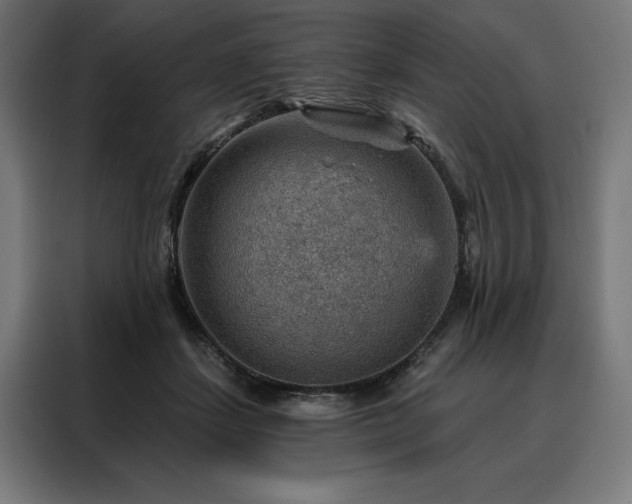 X0000088160459200705221604