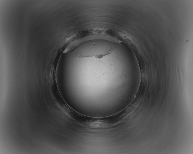 X0000088160460200705221604
