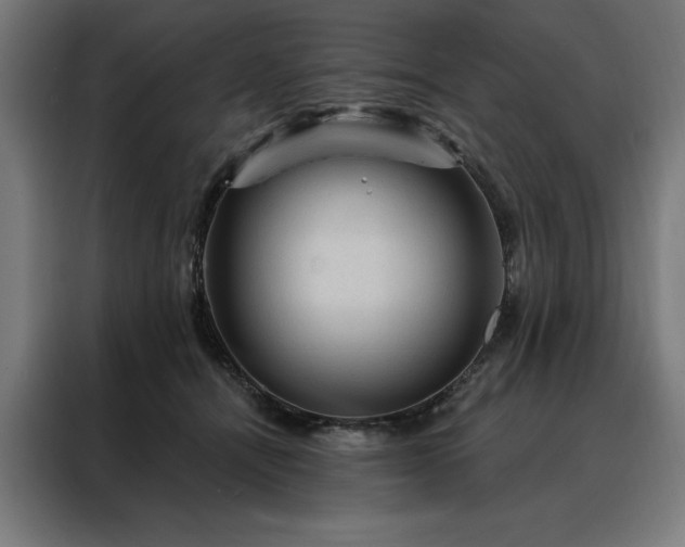 X0000088160464200705221604