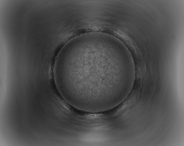 X0000088160465200705221604