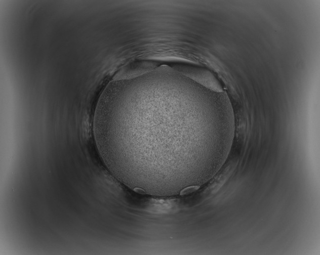 X0000088160469200705221604