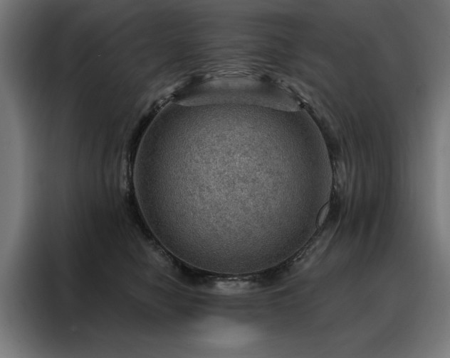 X0000088160470200705221604