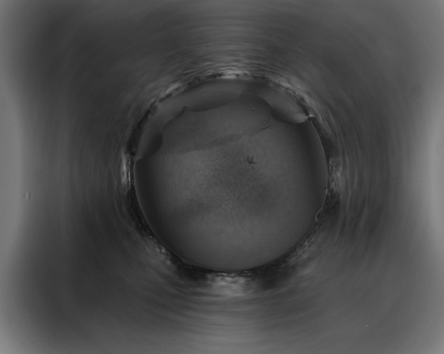 X0000088160471200705221604