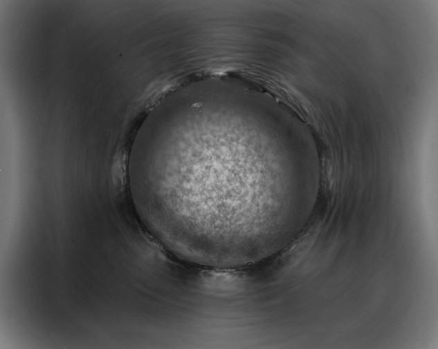 X0000088160475200705221604