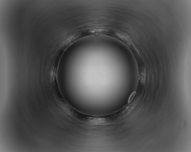X0000088160476200705221604