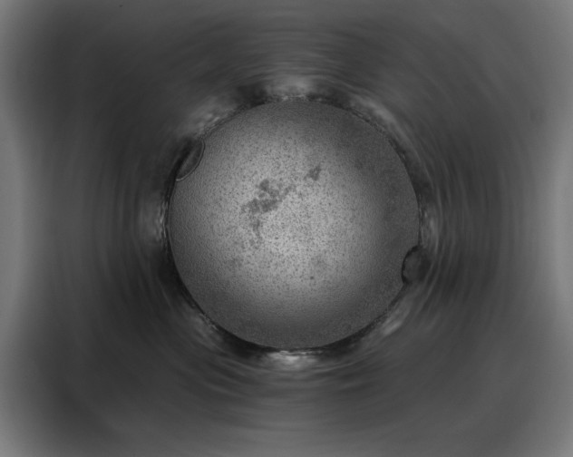 X0000088160477200705221604