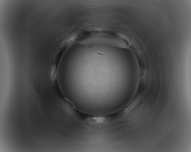 X0000088160478200705221604