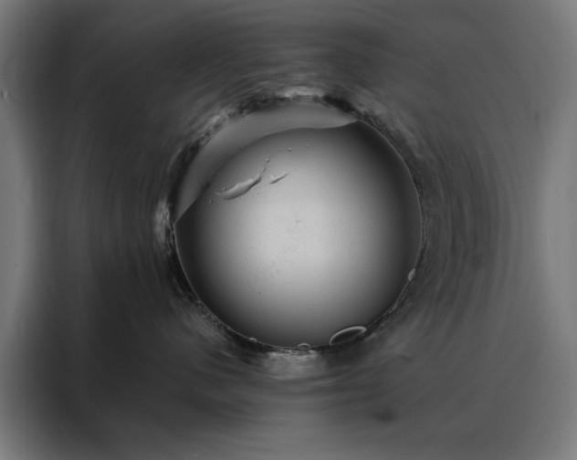 X0000088160480200705221604